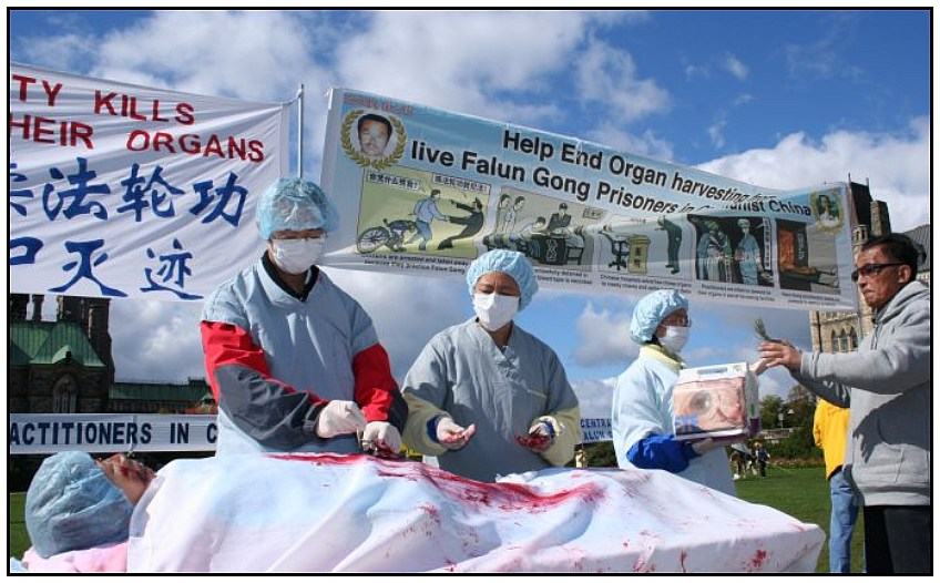 China stii harvesting organs from prisoners