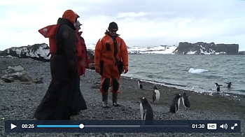 Kirill and penguins meet in Antarctica