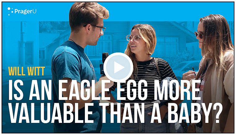 Are eagle eggs more valuable than babies?