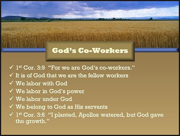 coworkers together with God