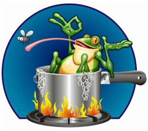 the Frog in the Kettle