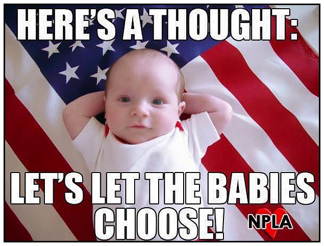Let the babies choose!