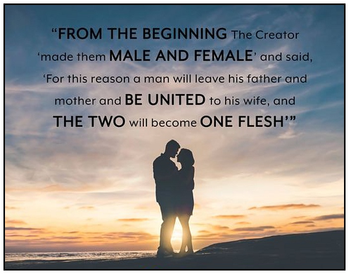 God made us male and female - preach it!
