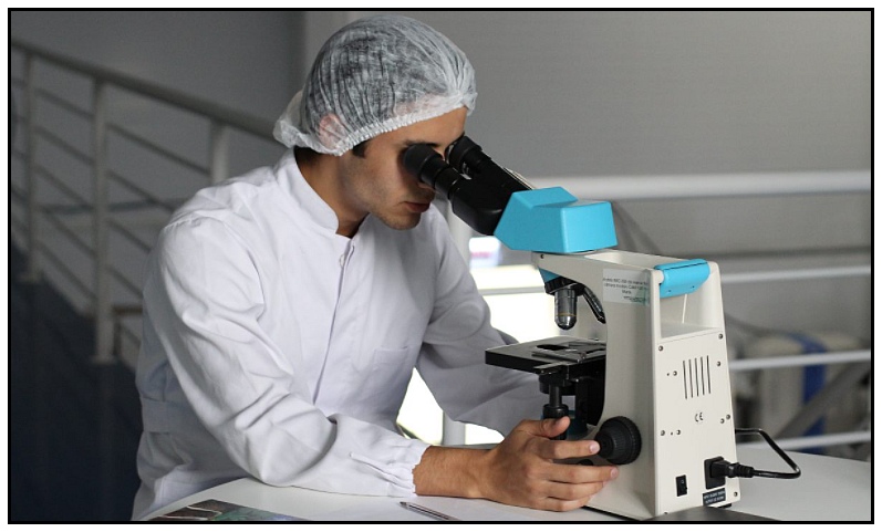 UPitt fetal research program