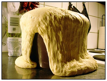 a little yeast leavens the whole lump