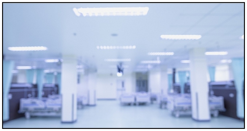 assisted dying news roundup