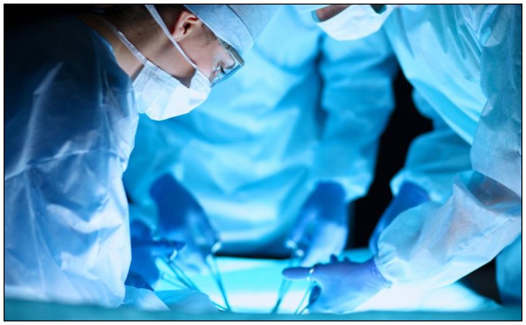 organ donation by euthanasia