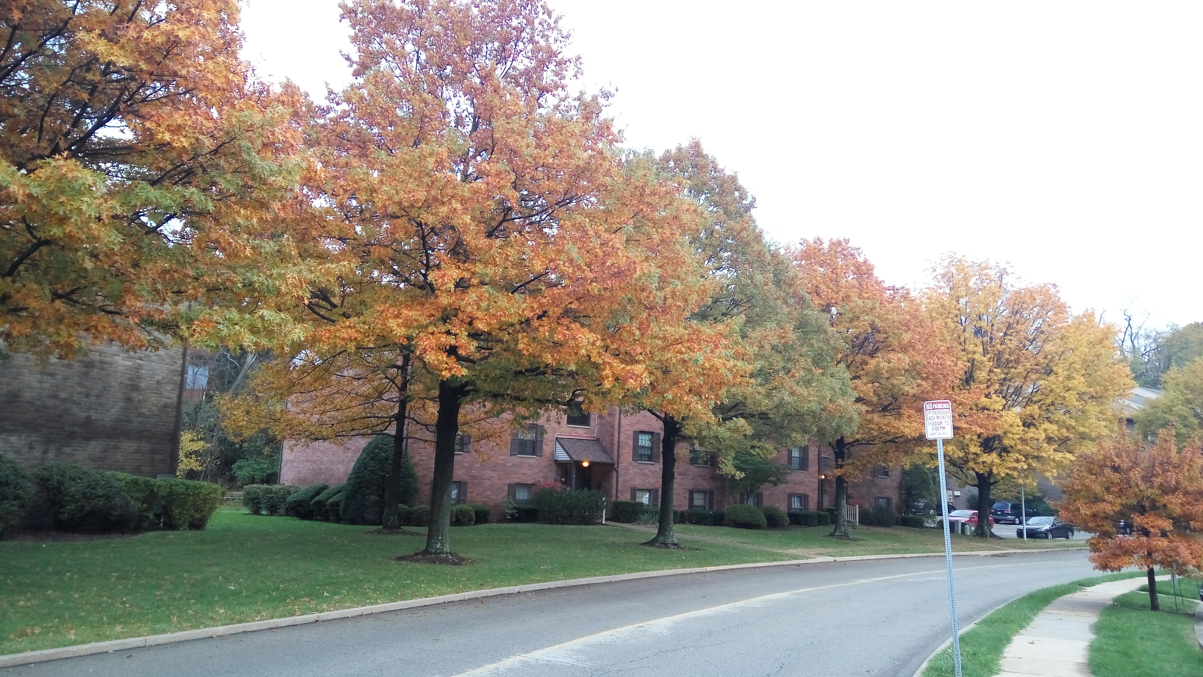 our neighborhood