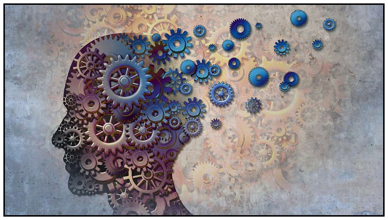 secular bioethics threatens human dignity