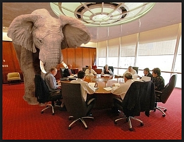 the elephant in the room